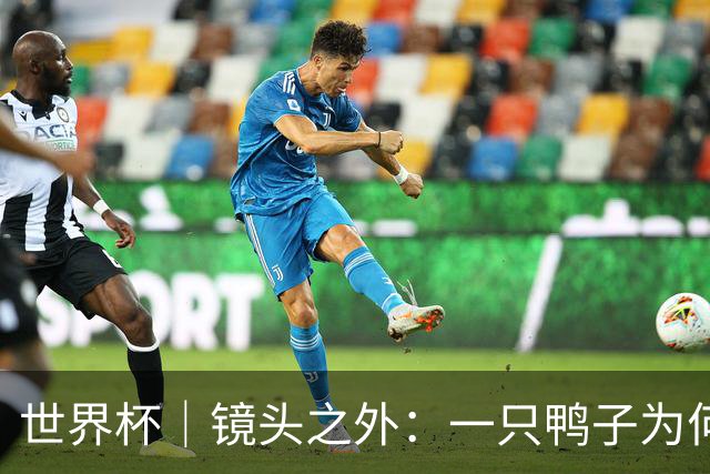 世界杯｜镜头之外：一只鸭子为何火遍世界杯？