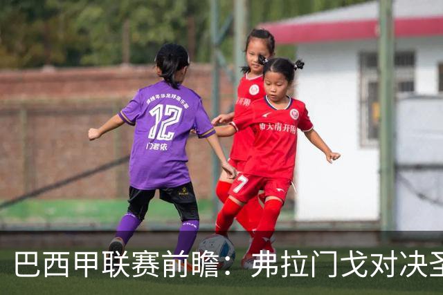 巴西甲联赛前瞻：弗拉门戈对决圣保罗，豪门对抗于马拉卡纳球场呈现