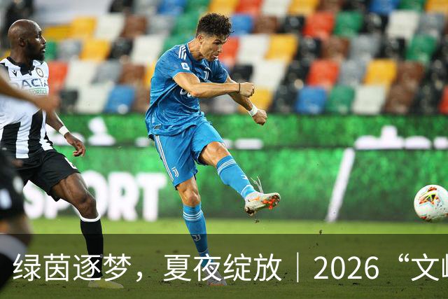 绿茵逐梦，夏夜绽放｜2026“文峰夏夜”“绿茵小精灵”足球宝贝才艺秀决赛结果揭晓，美好仍将续写