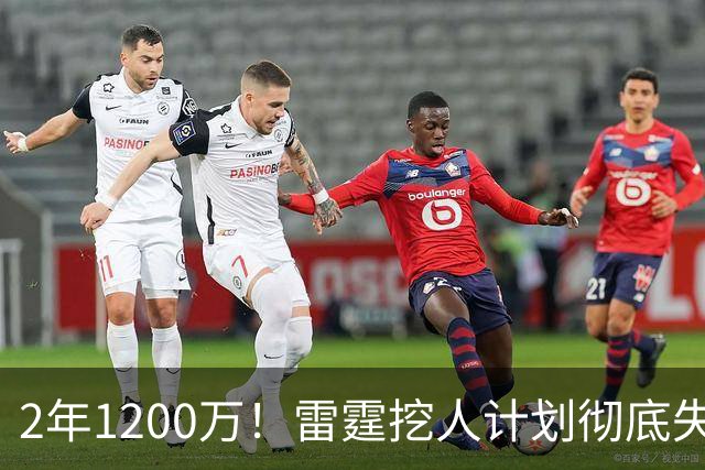 2年1200万！雷霆挖人计划彻底失败！约基奇帮手回归掘金